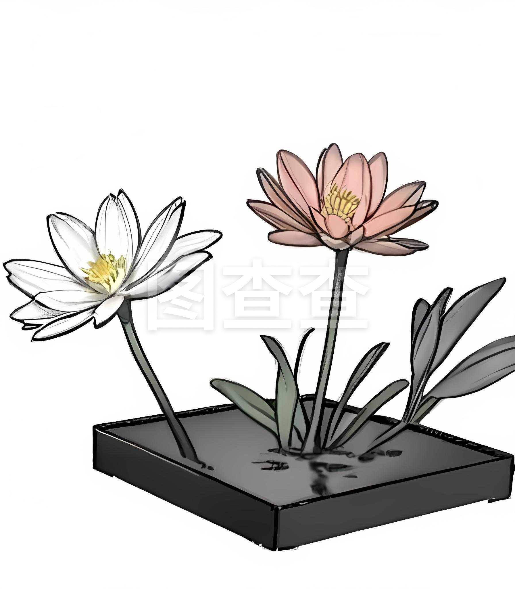 花卉簡(jiǎn)筆畫(huà)