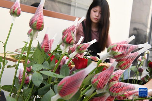 七夕 將至 鮮花俏銷(xiāo)