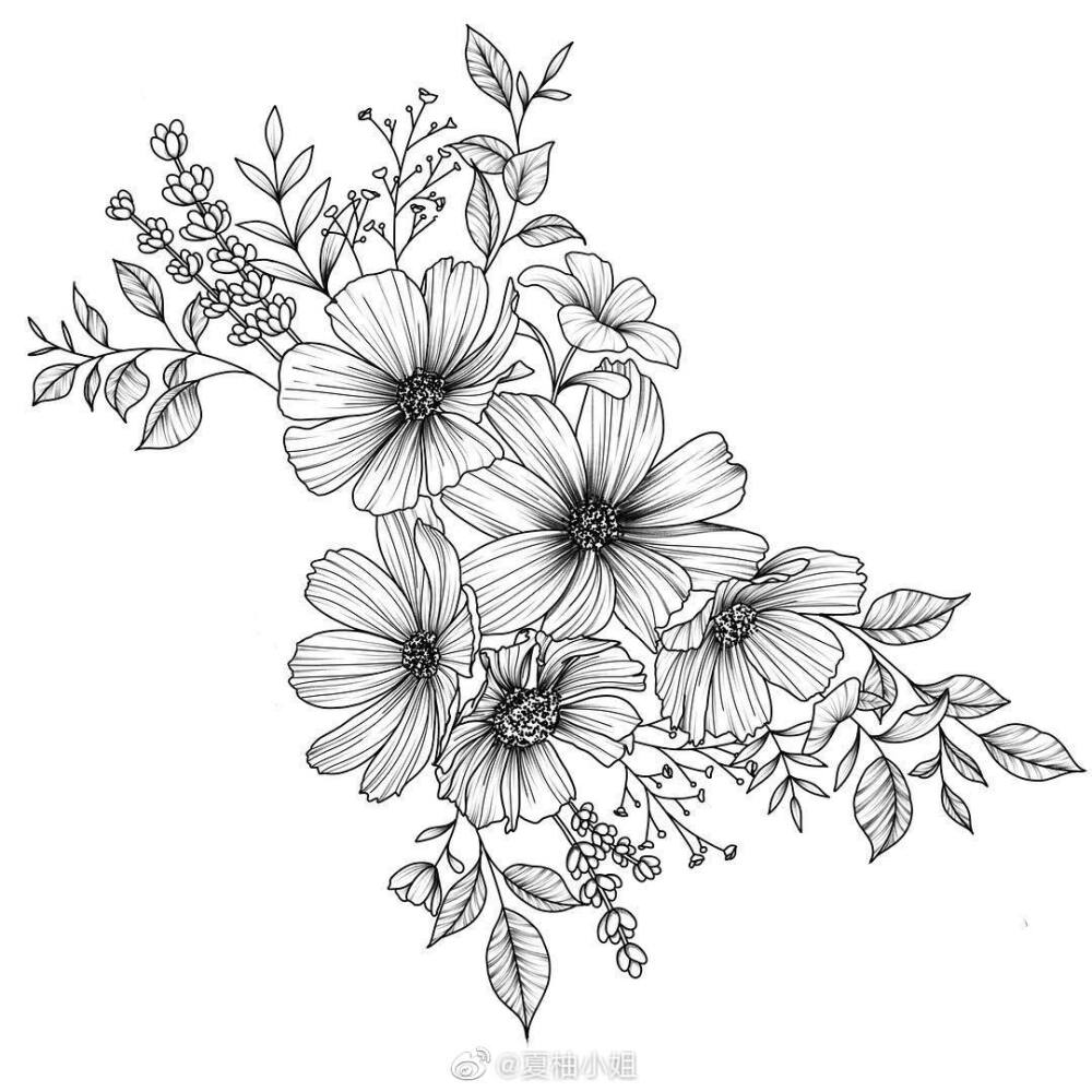 植物花卉線(xiàn)稿 黑白手繪 畫(huà)畫(huà) - 堆糖,美圖壁紙興趣社區(qū)