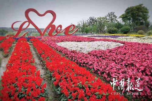 四川 樂(lè)至 首屆花卉生態(tài)旅游節(jié)即將開(kāi)始